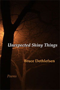 Unexpected Shiny Things cover